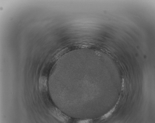 X0000063500178200601271754