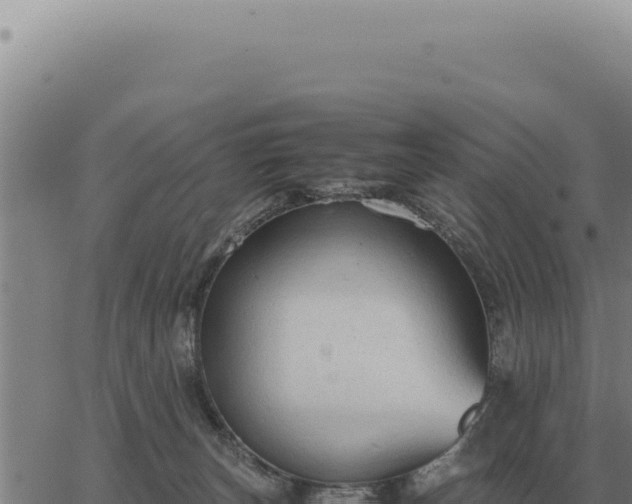 X0000063500179200601271754