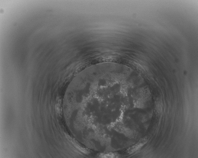 X0000063500181200601271754