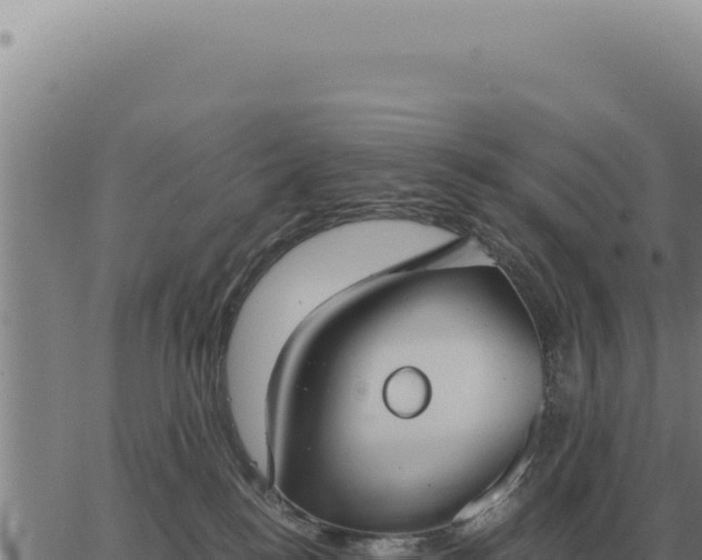 X0000063500184200601271754