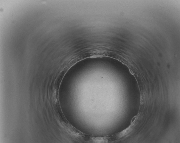 X0000063500187200601271754