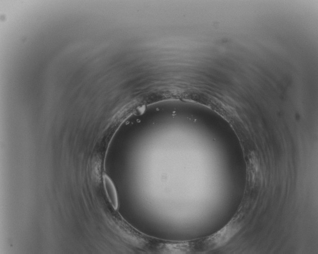 X0000063500188200601271754