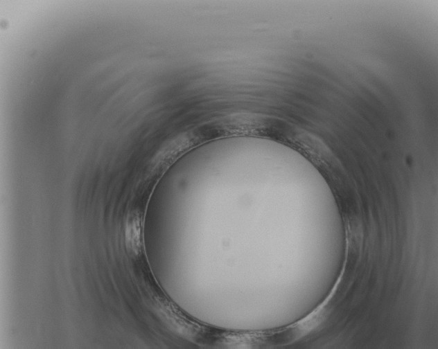 X0000063500190200601271754