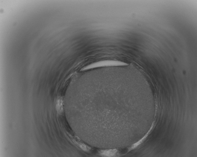 X0000063500191200601271754