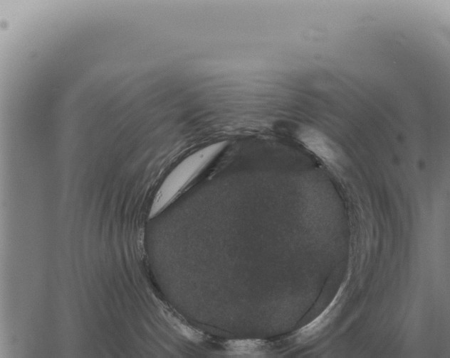 X0000063500192200601271754