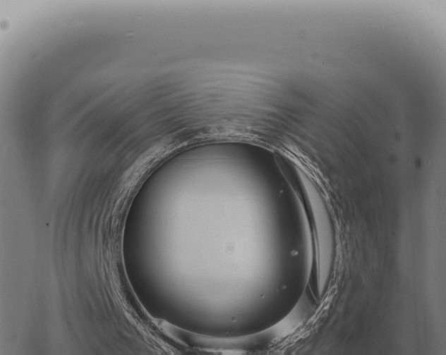 X0000063500193200601271753