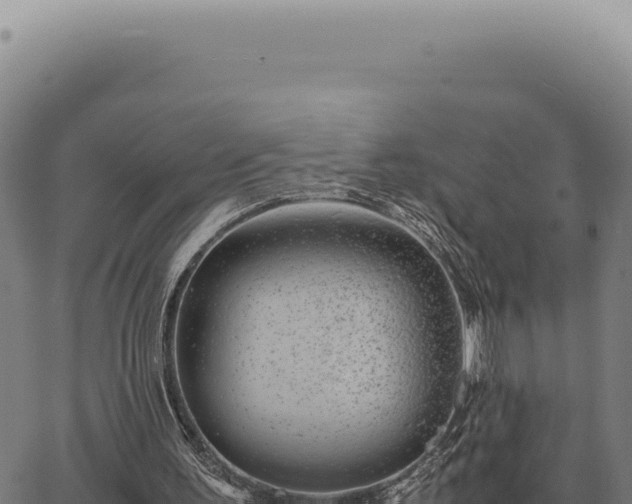 X0000063500195200601271753