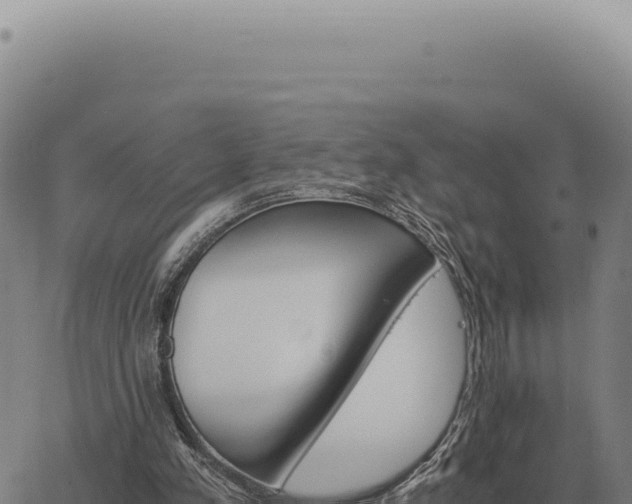 X0000063500197200601271753