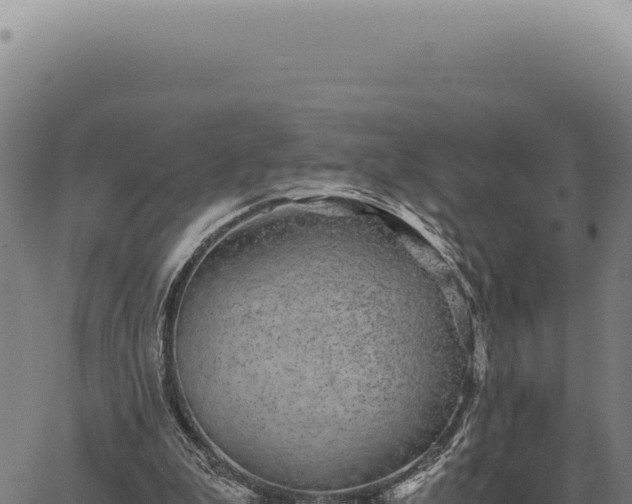 X0000063500199200601271753