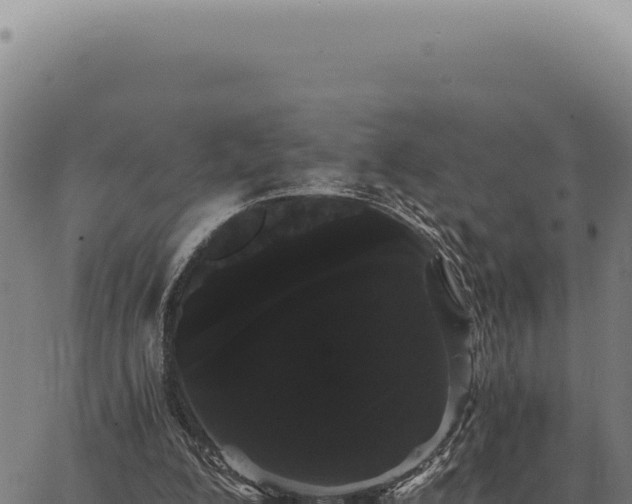 X0000063500200200601271753