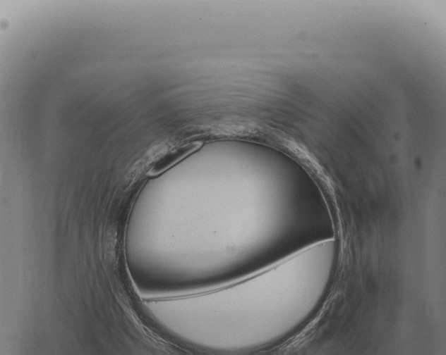 X0000063500201200601271753