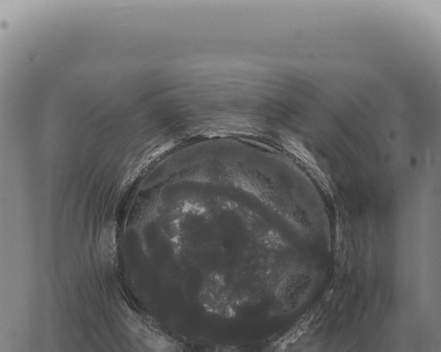 X0000063500202200601271753