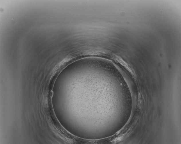 X0000063500203200601271753