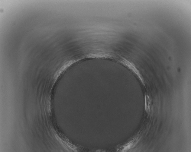 X0000063500204200601271753