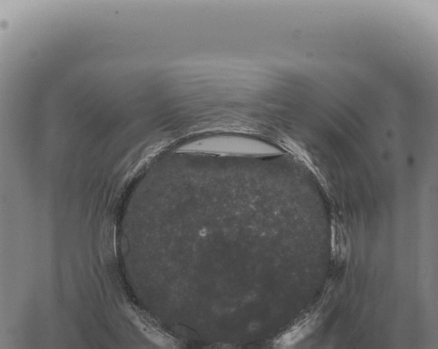 X0000063500205200601271753