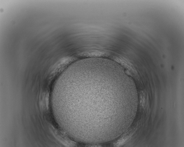 X0000063500206200601271753