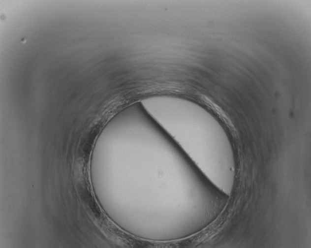 X0000063500209200601271753