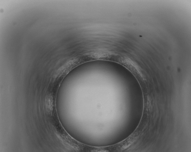 X0000063500210200601271753