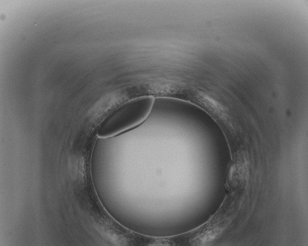 X0000063500211200601271753