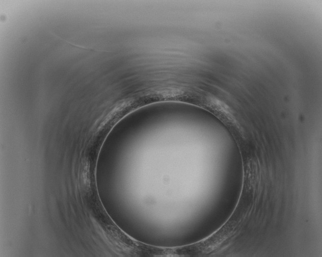 X0000063500212200601271753