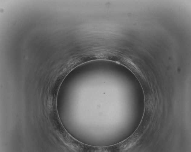 X0000063500213200601271753