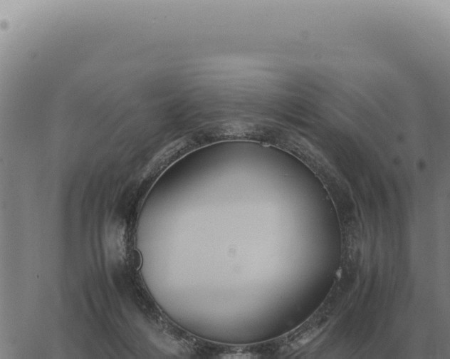 X0000063500216200601271753