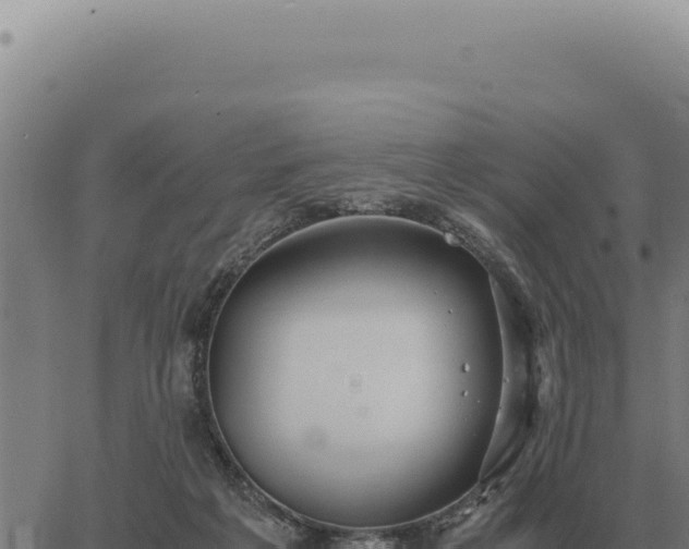 X0000063500217200601271753