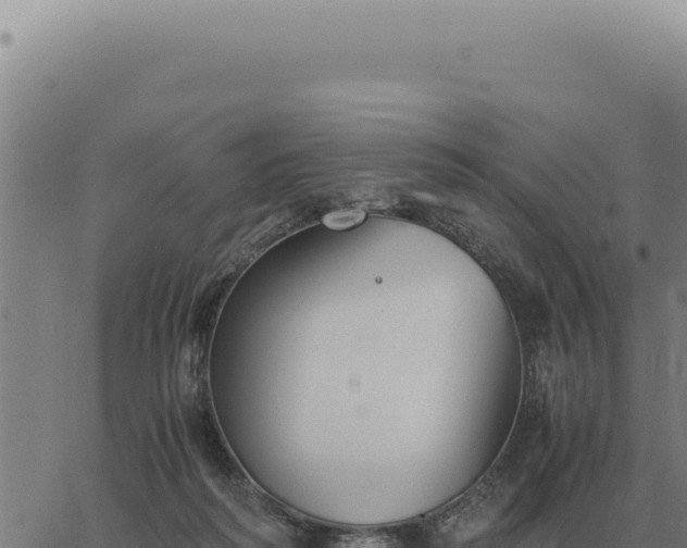 X0000063500218200601271753