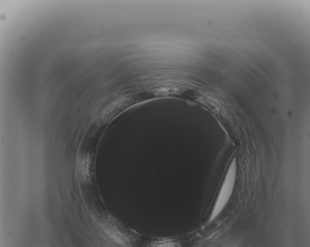 X0000063500219200601271753