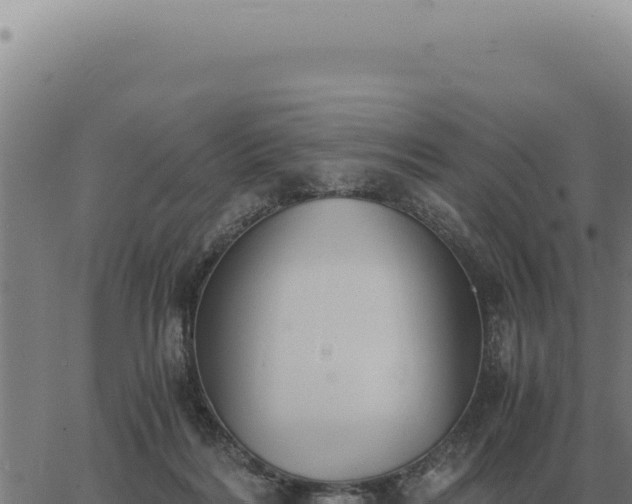 X0000063500220200601271753