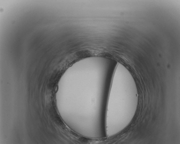 X0000063500221200601271753