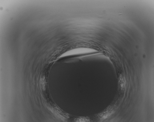 X0000063500223200601271753