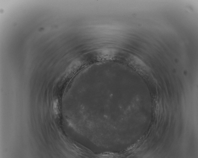 X0000063500224200601271753