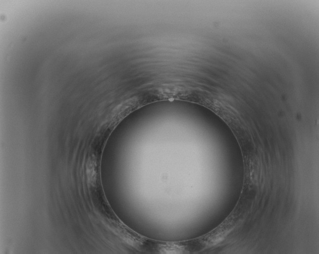 X0000063500226200601271753