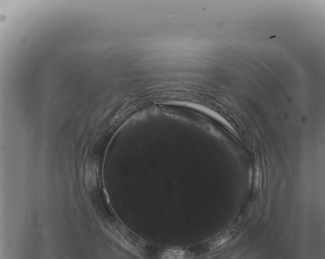 X0000063500227200601271753