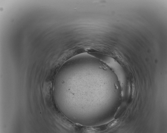 X0000063500229200601271753