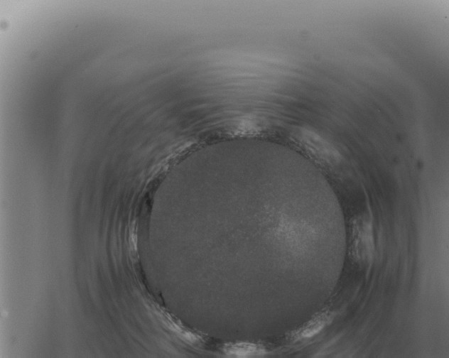 X0000063500230200601271753