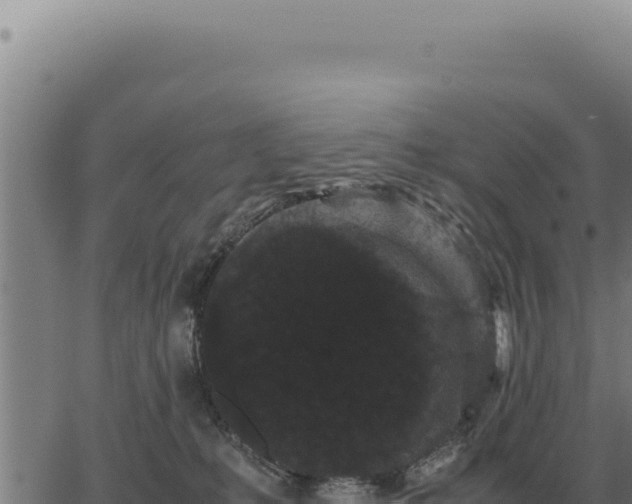 X0000063500231200601271753