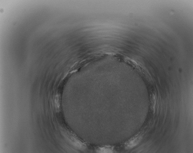 X0000063500232200601271753