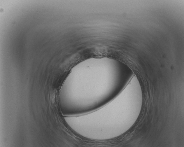 X0000063500233200601271753