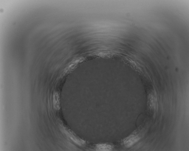 X0000063500234200601271753