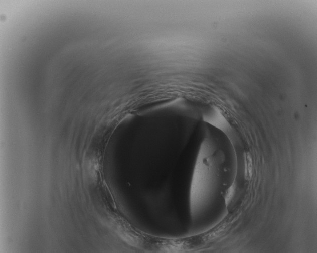 X0000063500235200601271753