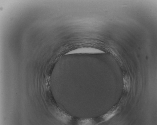 X0000063500237200601271753