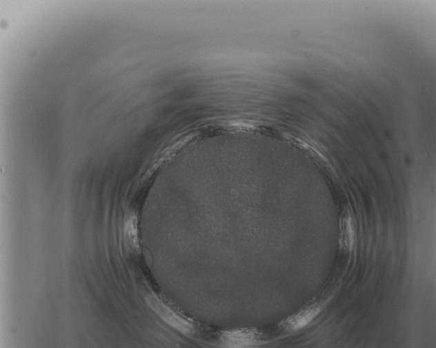 X0000063500238200601271753