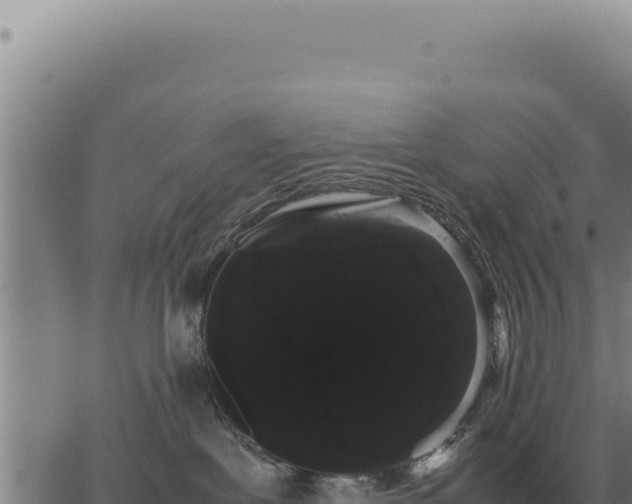 X0000063500239200601271753