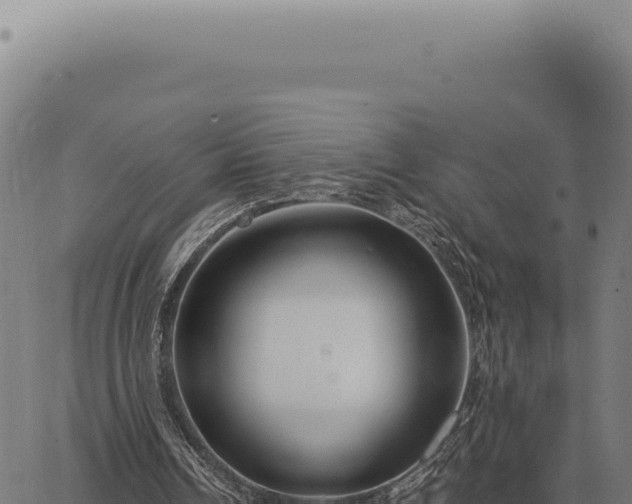 X0000063500242200601271752