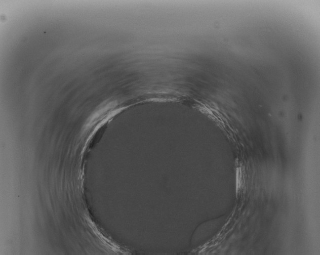 X0000063500243200601271752