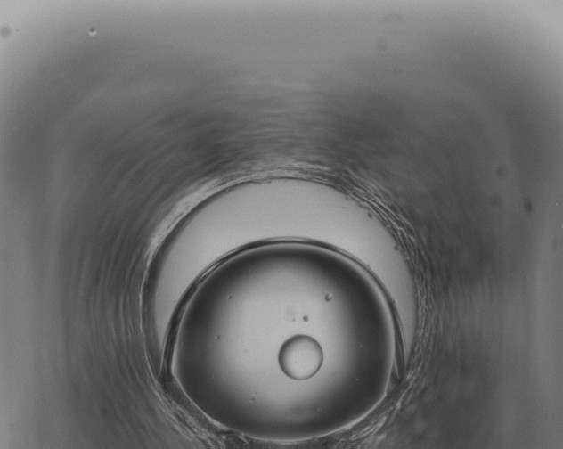 X0000063500244200601271752