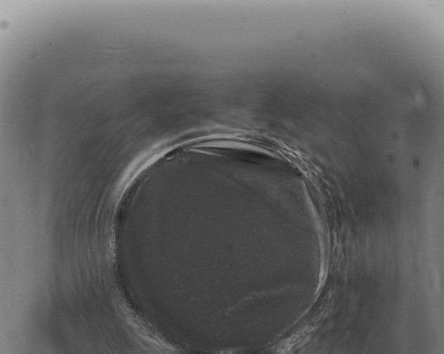 X0000063500247200601271752