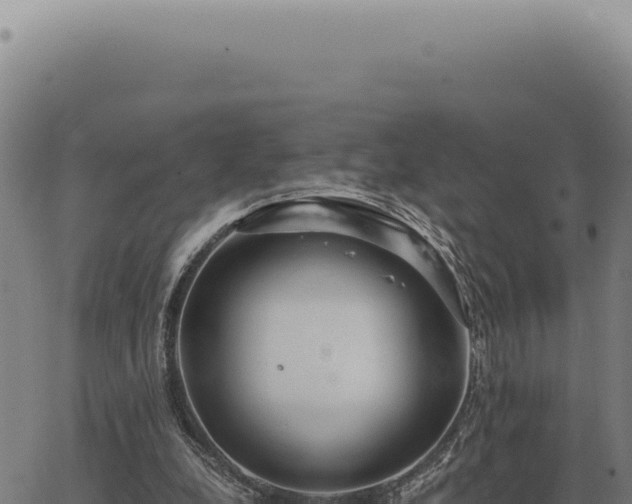 X0000063500248200601271752